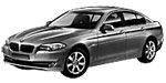 BMW F10 C1320 Fault Code